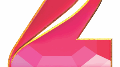 Zee TV Channel